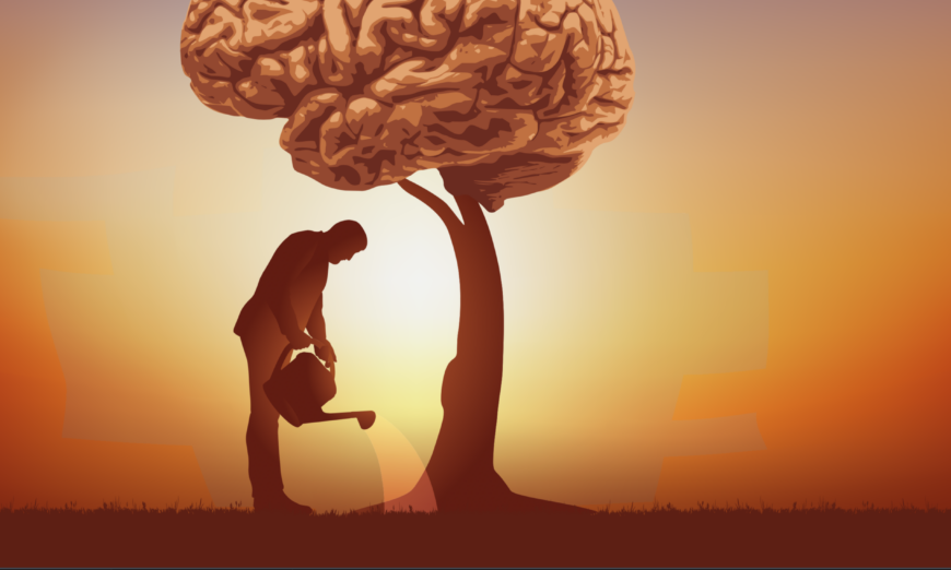 (Pictrider/Shutterstock)