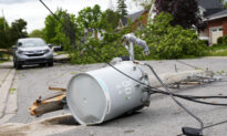 Strong Winds That Hit Ottawa Reached 190 Km/h, Say Researchers