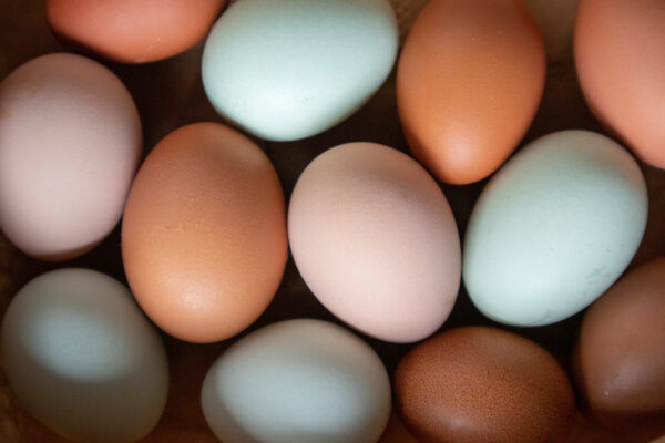 Naturally,Colorful,Chicken,Eggs,In,A,Pattern