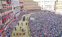 Siena’s Palio: 90 Seconds of Sheer Medieval Madness