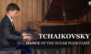 Tchaikovsky: Dance of the Sugar Plum Fairy | Enrico Sieber | Musical Moments