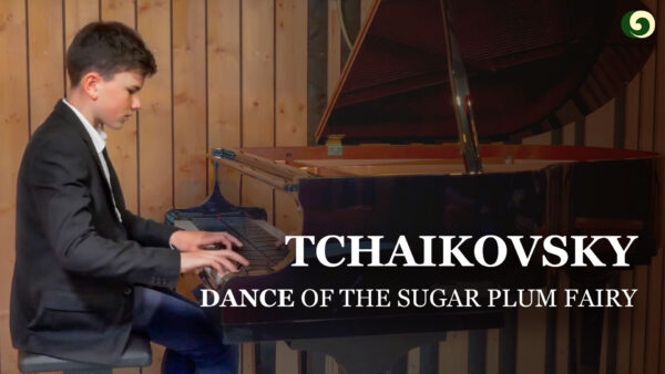 Tchaikovsky: Dance of the Sugar Plum Fairy | Enrico Sieber | Musical Moments