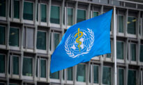 WHO Now Working on Far-Reaching Amendments to Global Rules After Setback