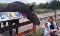 Couple Fulfills Lifelong Dream, Honors Heroic Horses with Forever Homes