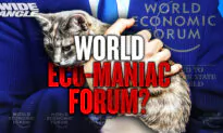 High Times and Hijinks at World Economic Forum 2022