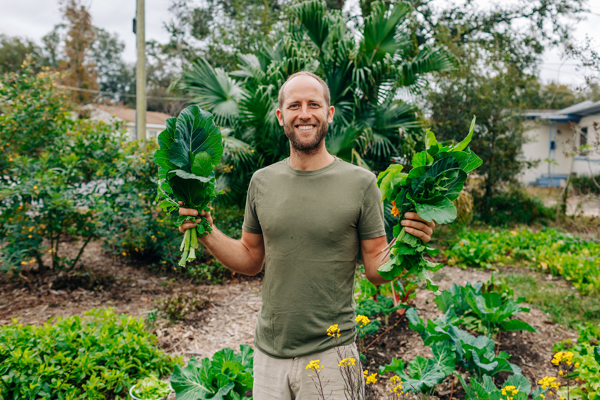 How to Grow and Forage Without Owning Land - Vimarsana News