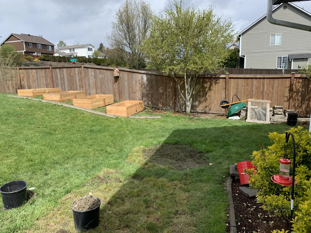 Water flowing through the soil creates a swamp in the backyard of this home and many others in the neighborhood. It’s easy to dry it out. (Tim Carter/TNS)