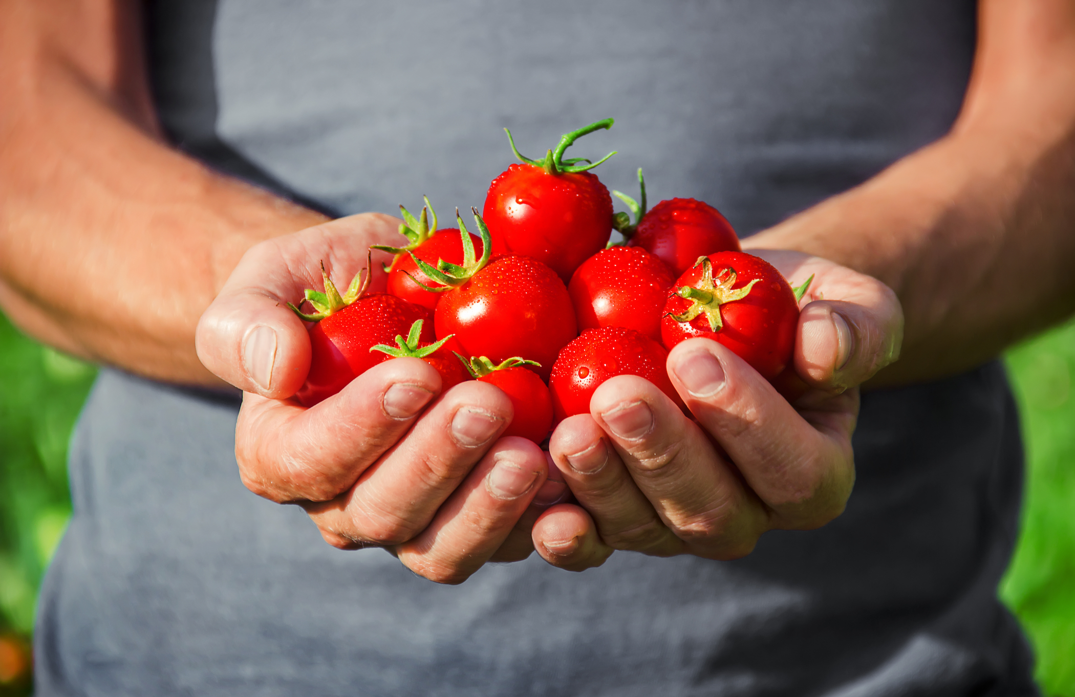 13 Diet & Lifestyle Tips for Prostate Health - Vimarsana News
