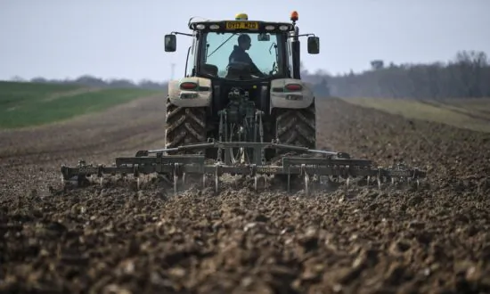 UK Gene-Editing Bill Raises Animal Welfare Concerns