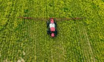 Increasing Number of ‘Forever Chemicals’ Found in Pesticides Sold in US: Study
