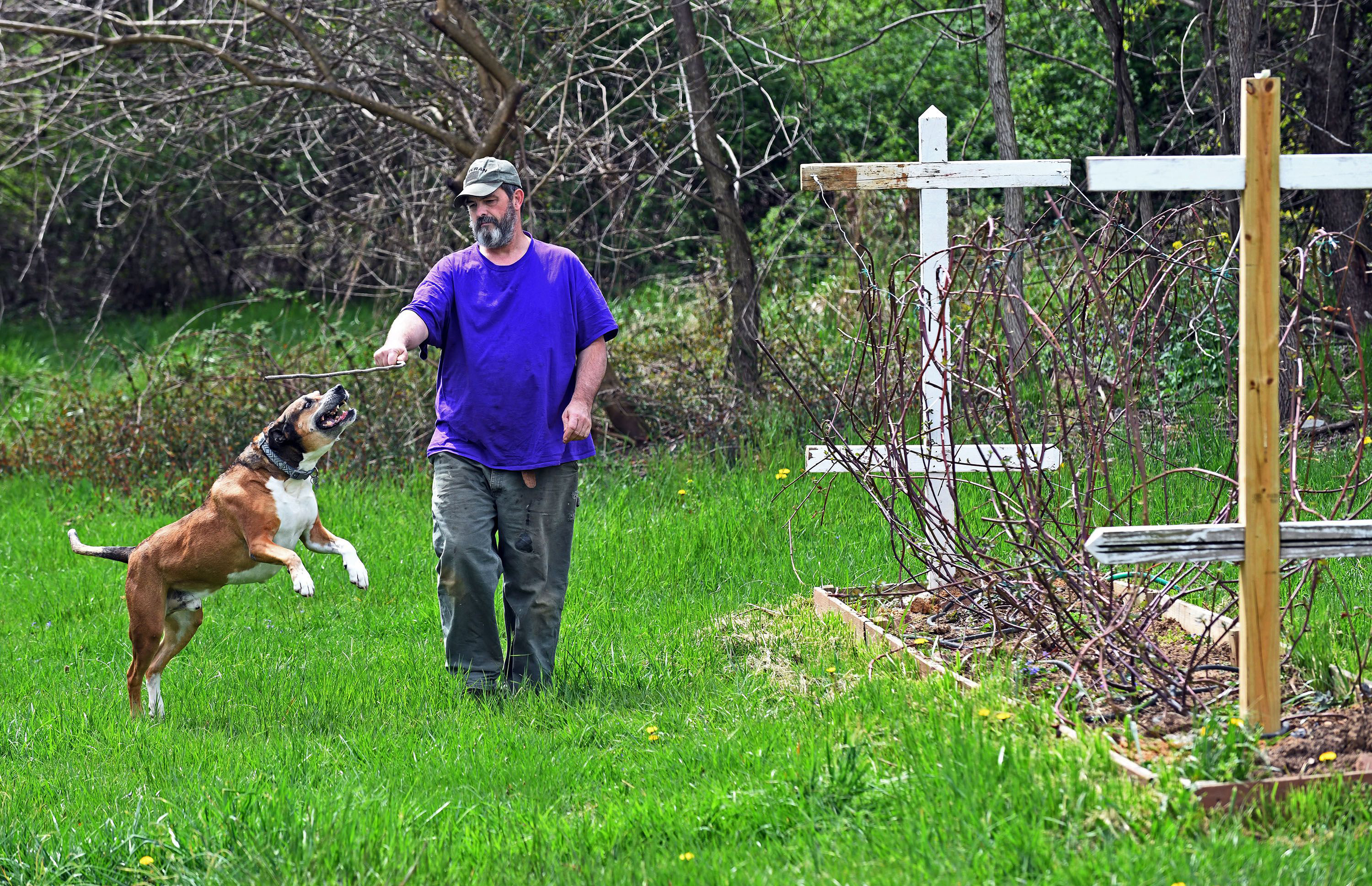 LIFE-PETS-VETERANS-2-BZ-tribunecontent