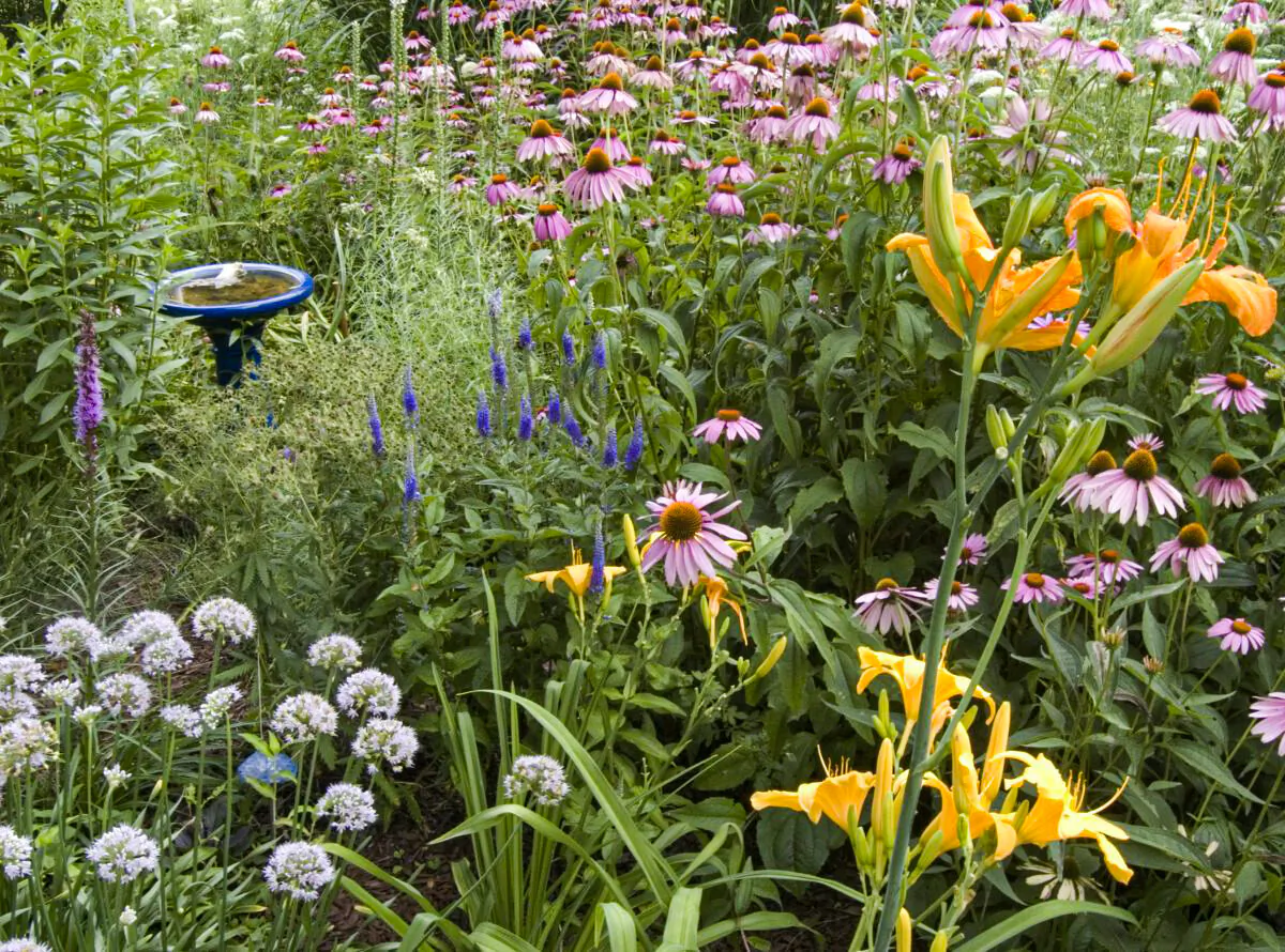 A pollinator garden is shown in this photo. With recent declines in bee populations, there is a growing awareness of the contribution pollinators make to the ecosystem, and to the human food supply. (Cat Rooney/Epoch Times)