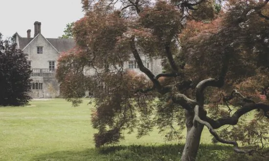 Planting Fields Arboretum: A Botanical Paradise in New York Reminiscent of the Old English Countryside
