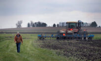 Spiking Fertilizer Costs Squeeze Midwest Farmers