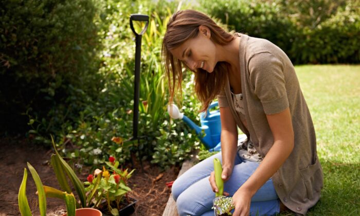 Gardening Is Good for Your Microbes, Muscles, and Mood