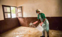 Chinese Media, Influencers Blame US for Spread of Monkeypox