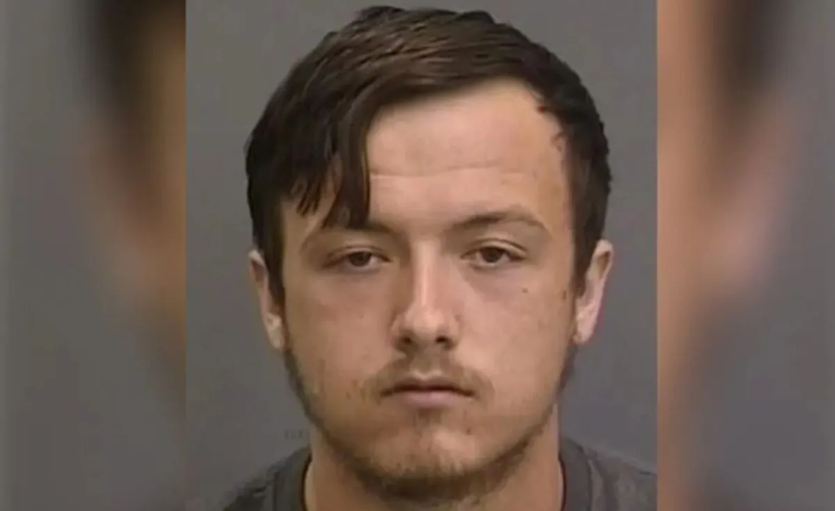 Corey Anderson, 18, as seen in an undated mugshot photo.  (Hillsborough County Sheriff's Office via AP)