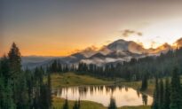 Exploring Mount Rainier, a National Park That Exemplifies the Power of Nature’s Dichotomy