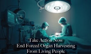 LIVE on June 9, 3 PM ET: Round Table Discussion on Forced Organ Harvesting From Living People—Past, Present, Future