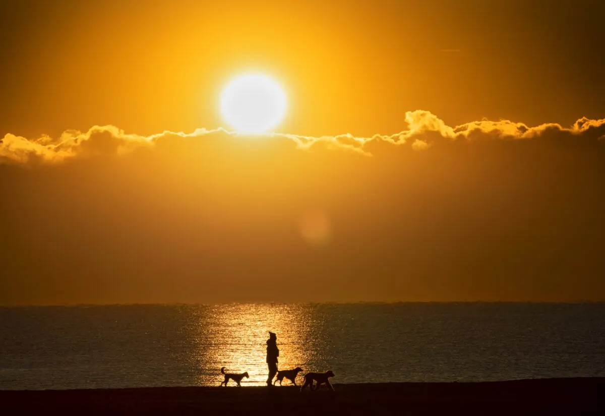 A woman walks her dogs along the beach by Lake Ontario as the sun rises in Toronto on February 10, 2021. (The Canadian Press/Frank Gunn)