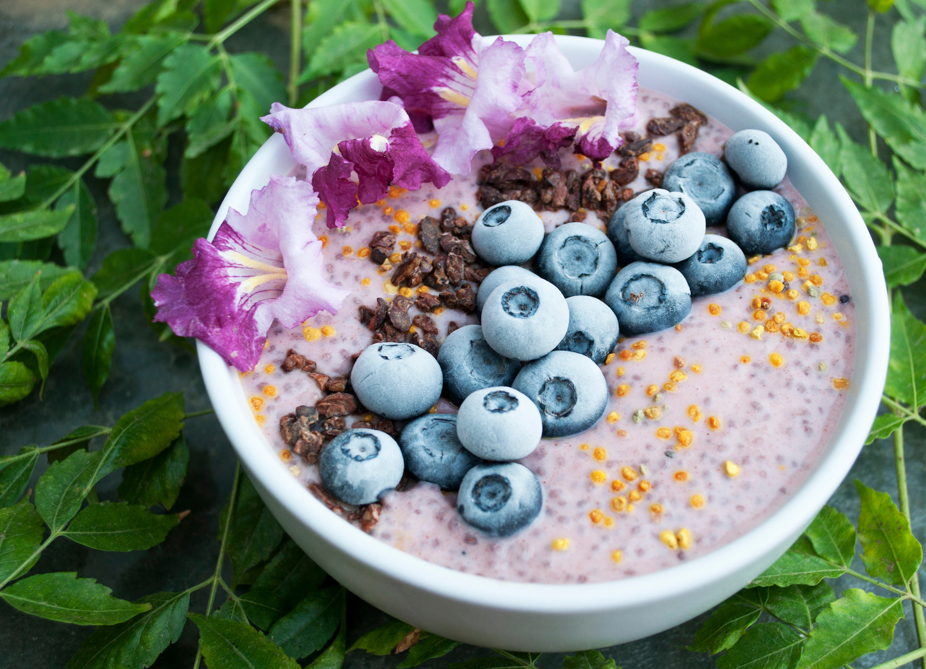 Blueberry Chia Seed Pudding (Recipe) - Vimarsana News