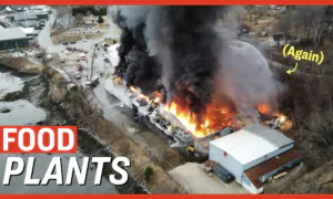 Facts Matter (June 1): Massive Fire Breaks Out At Poultry Farm, FBI Warns of Targeted Cyber Attacks On Food Plants