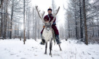 Photographers Capture Life of Reindeer Herders Living on the Mongolian-Siberian Border In Amazing Photo Series