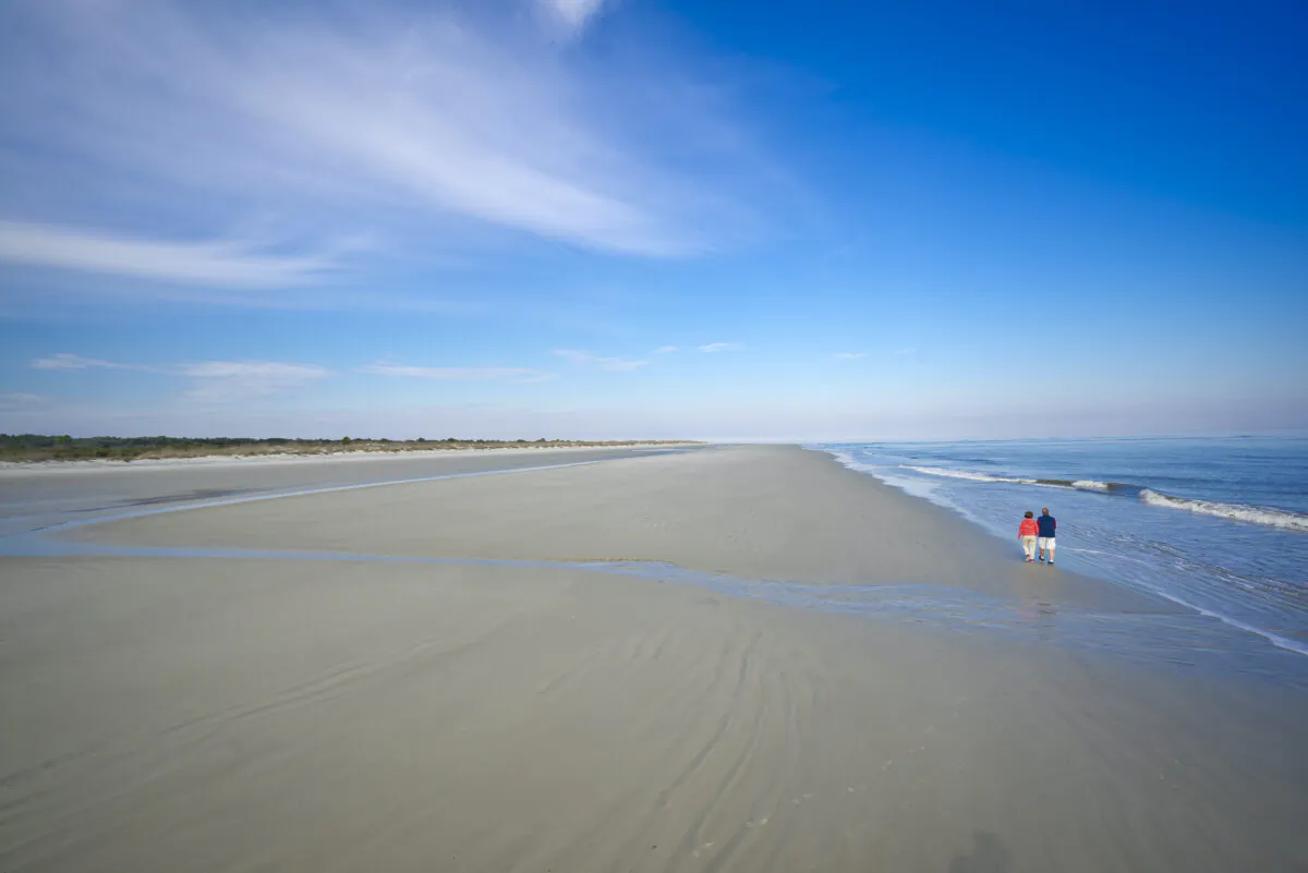 Cumberland Island’s 18 miles of Atlantic beach are so vast that the view disappears over the curvature of the earth. It’s not unusual to see feral horses grazing among its white sand dunes. (Ralph Daniel/Explore Georgia/TNS)