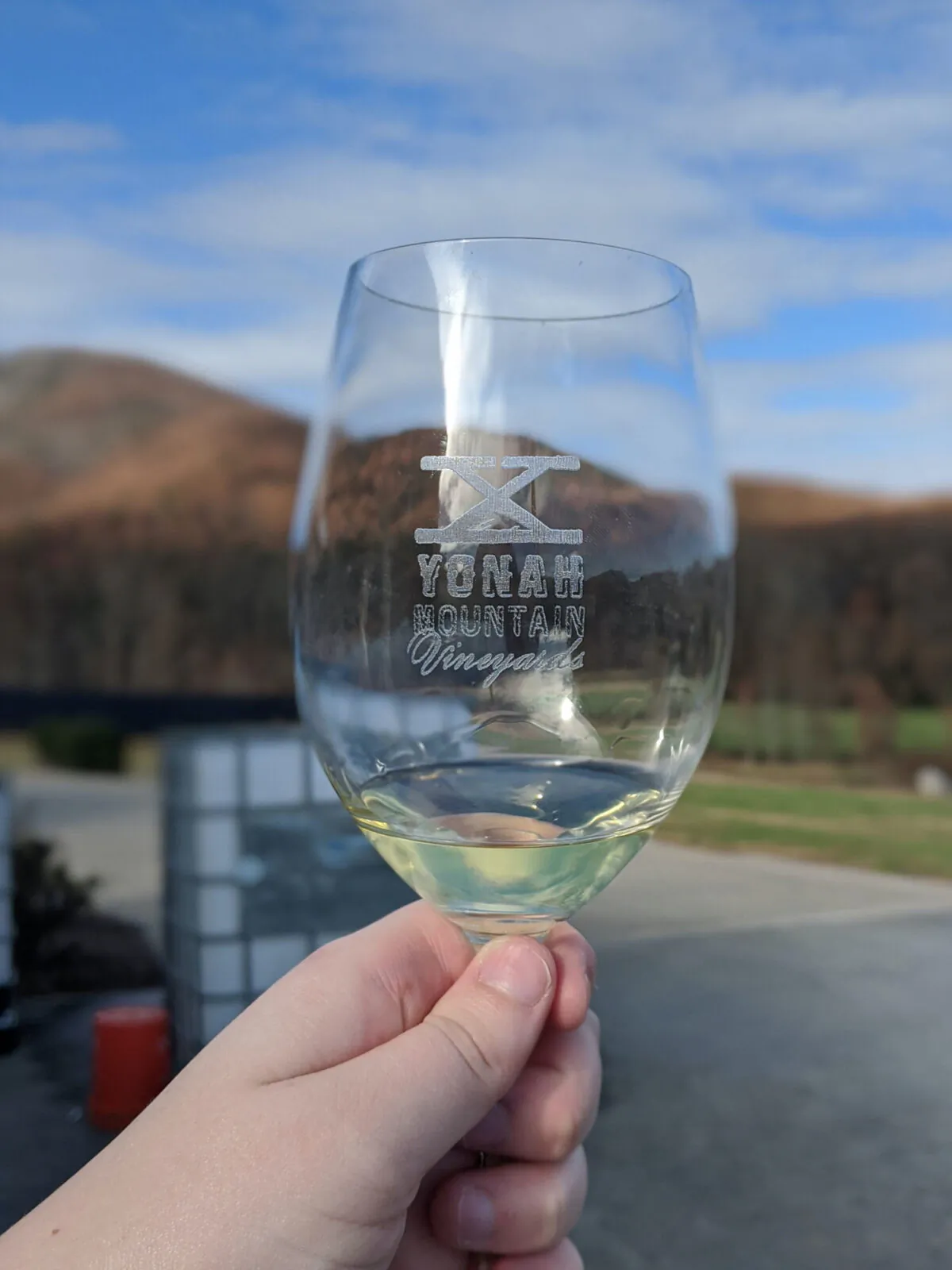 A taste of white wine at Georgia's Yonah Mountain Vineyard. (Dreamstime/TNS)