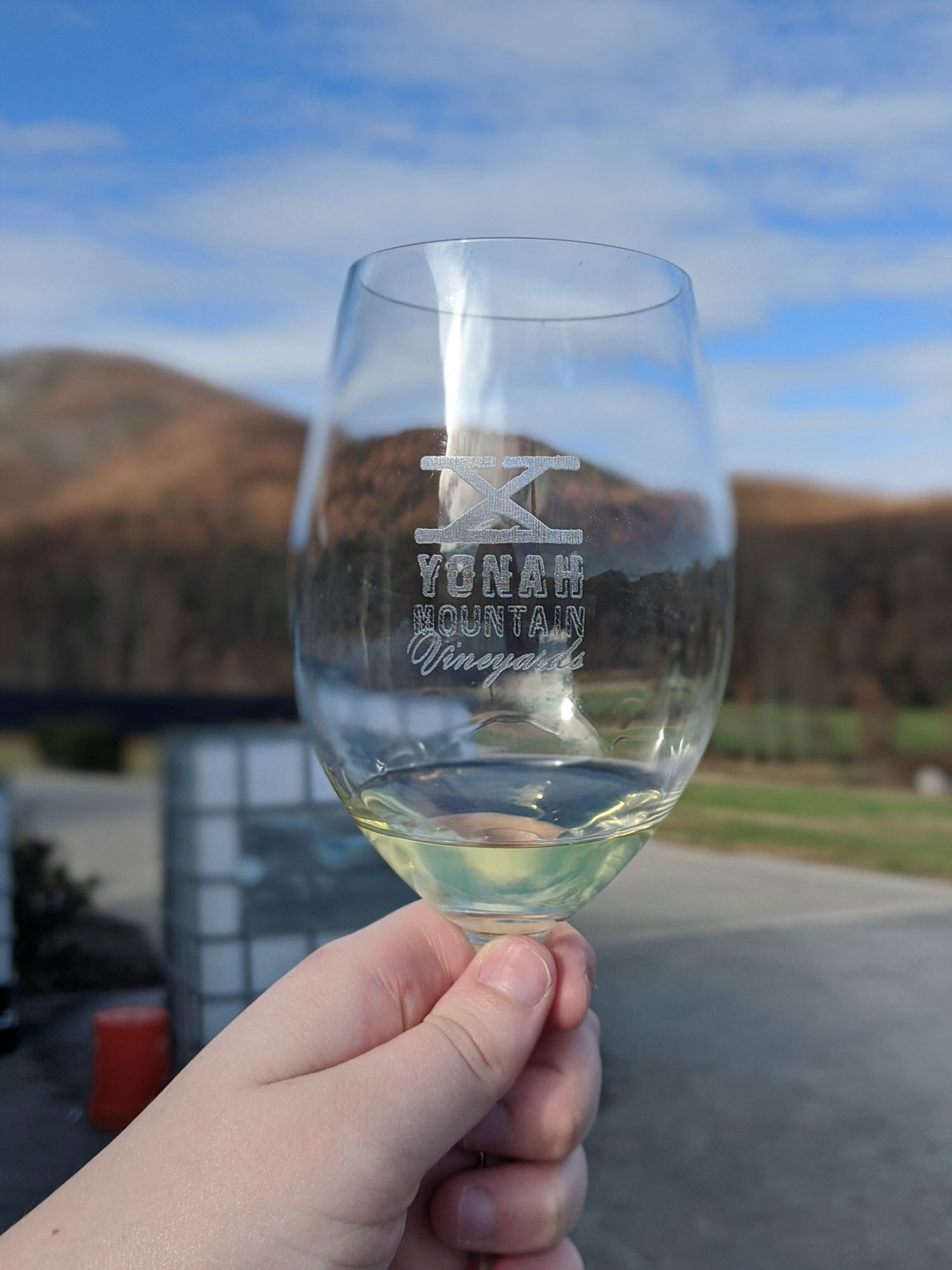 These Georgia Wineries Are Perfect for a Quick Getaway - Vimarsana News