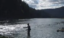 International Commission Asks Canada to Join Probe of Selenium Flowing From BC