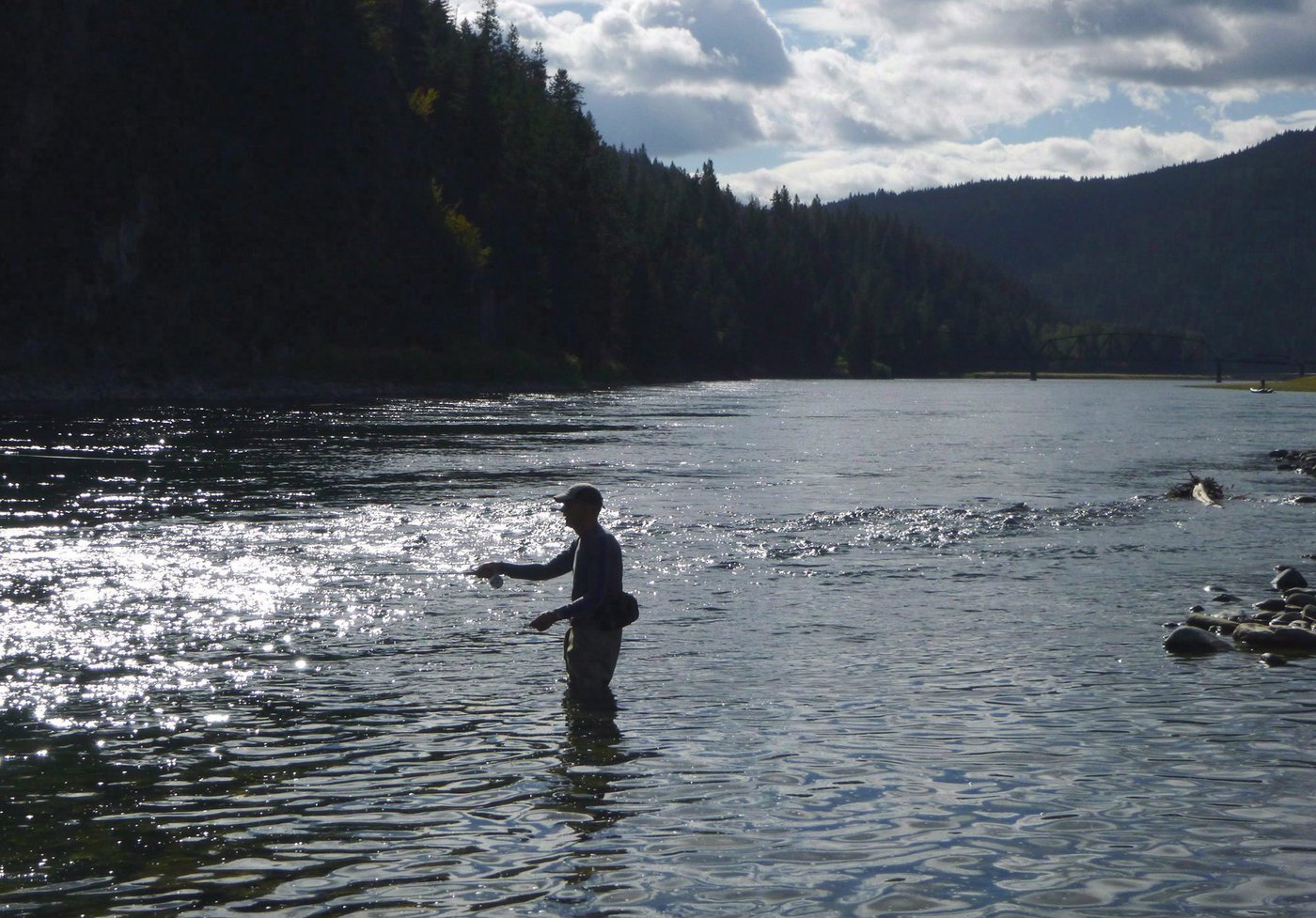 International Commission Asks Canada to Join Probe of Selenium Flowing From BC - Vimarsana News