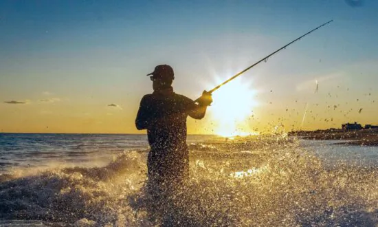 Fishing for Adventure: For the Ultimate Vacation, Book a Luxury Fishing Charter