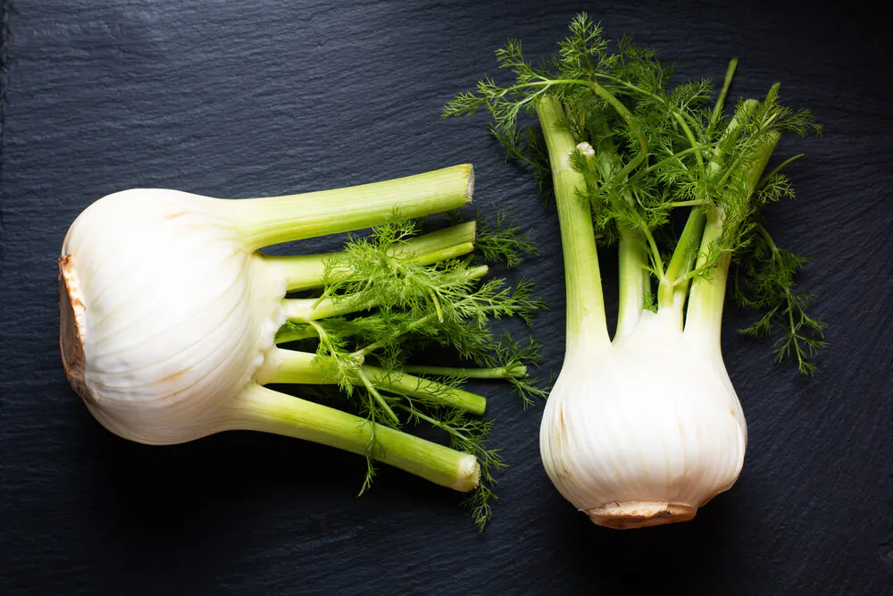 Frizzy-headed fennel is delightful in salads, slaw, and other raw preparations. (TYSB/Shutterstock)