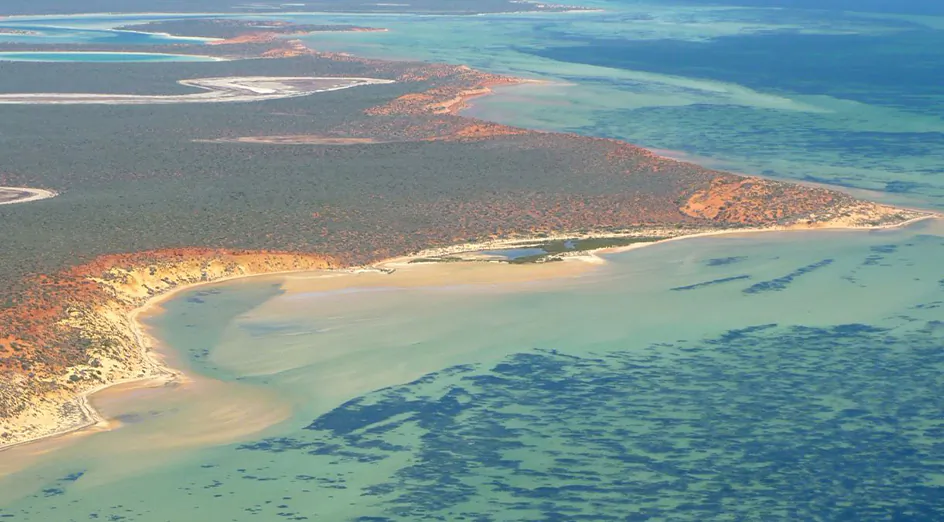 The shallow, salty waters of Shark Bay, Western Australia.(Photograph, Angela Rossen/supplied to The Epoch Times by UWA)