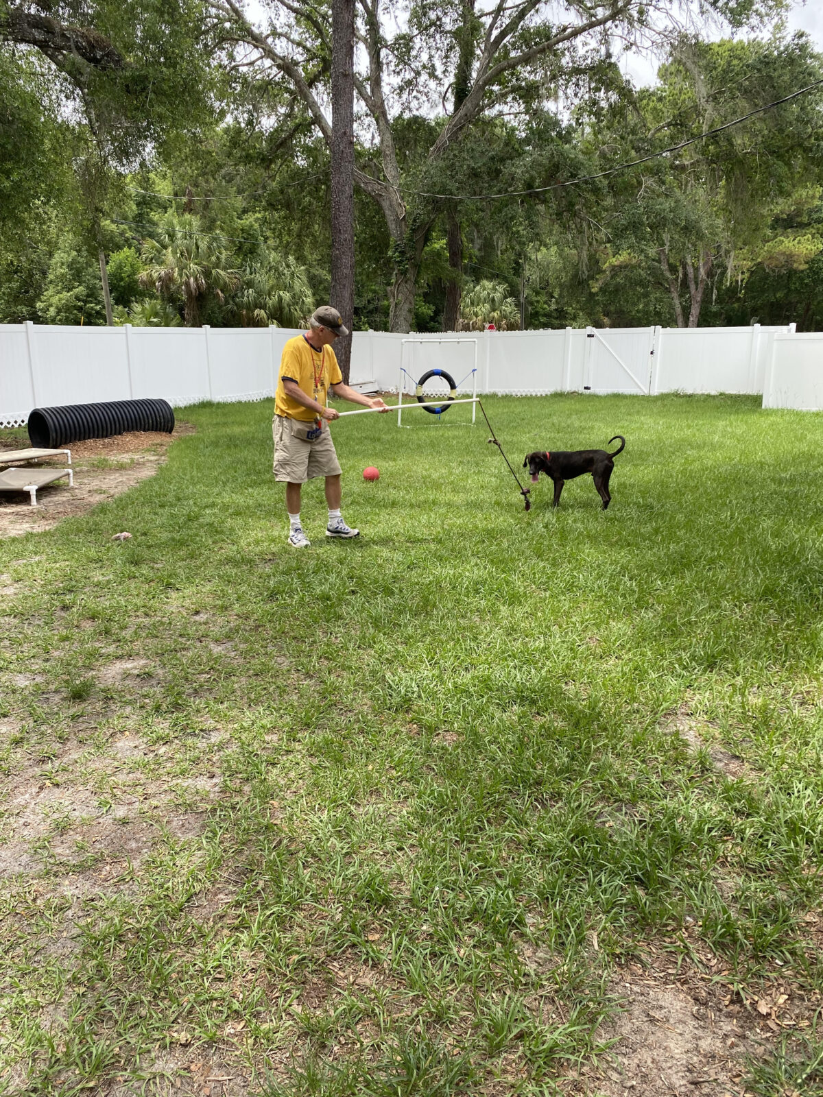 Volunteers like Ben Moser help the staff at shelters like the Humane Society of the Nature Coast ensure that the dogs get ample exercise and play-time in spacious, outdoor spaces. 