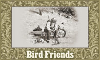 Moral Tales for Children From McGuffey’s Readers: Bird Friends