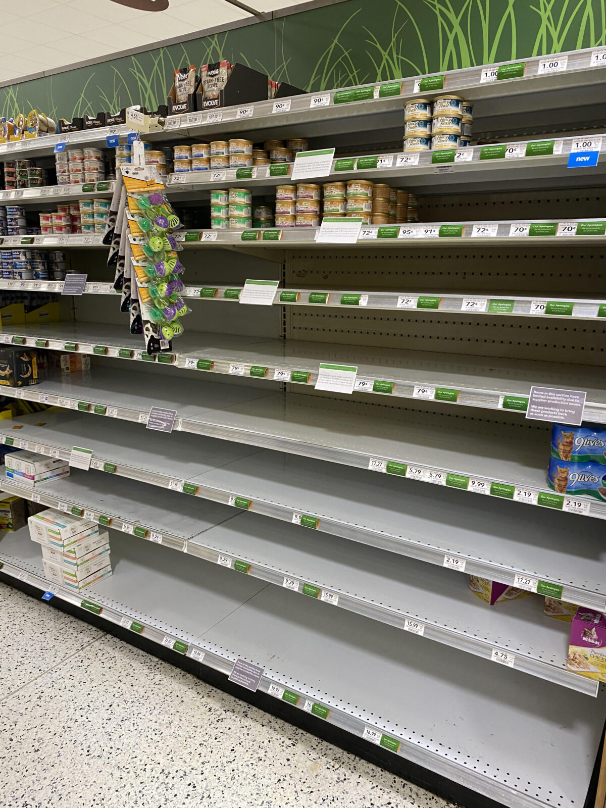 During the peak of what shelter staff refer to as "cat season," grocery stores like Publix, located in Hernando County, Florida are running low on cat food.