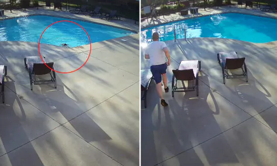 VIDEO: 12-Year-Old and Dad See Commotion Near Swimming Pool, Rush to Save Autistic Toddler Drowning