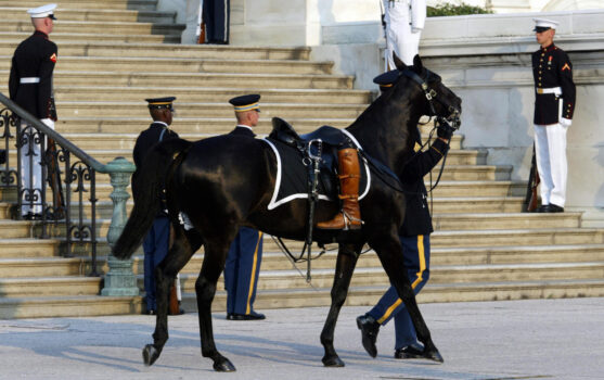 Epoch Times Photo