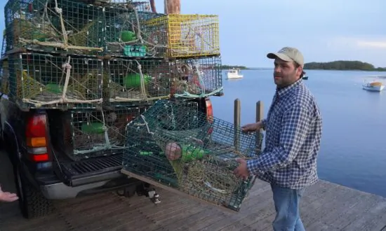 Maine Lobstermen Square Off With Aquarium Over ‘False Statements’ Harming Sales