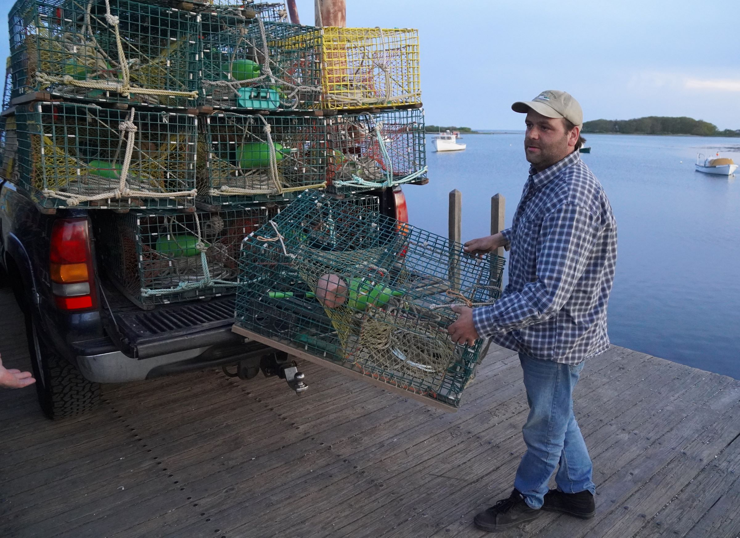 Maine Lobstermen Square Off With Aquarium Over 'False Statements' Harming Sales - Vimarsana News