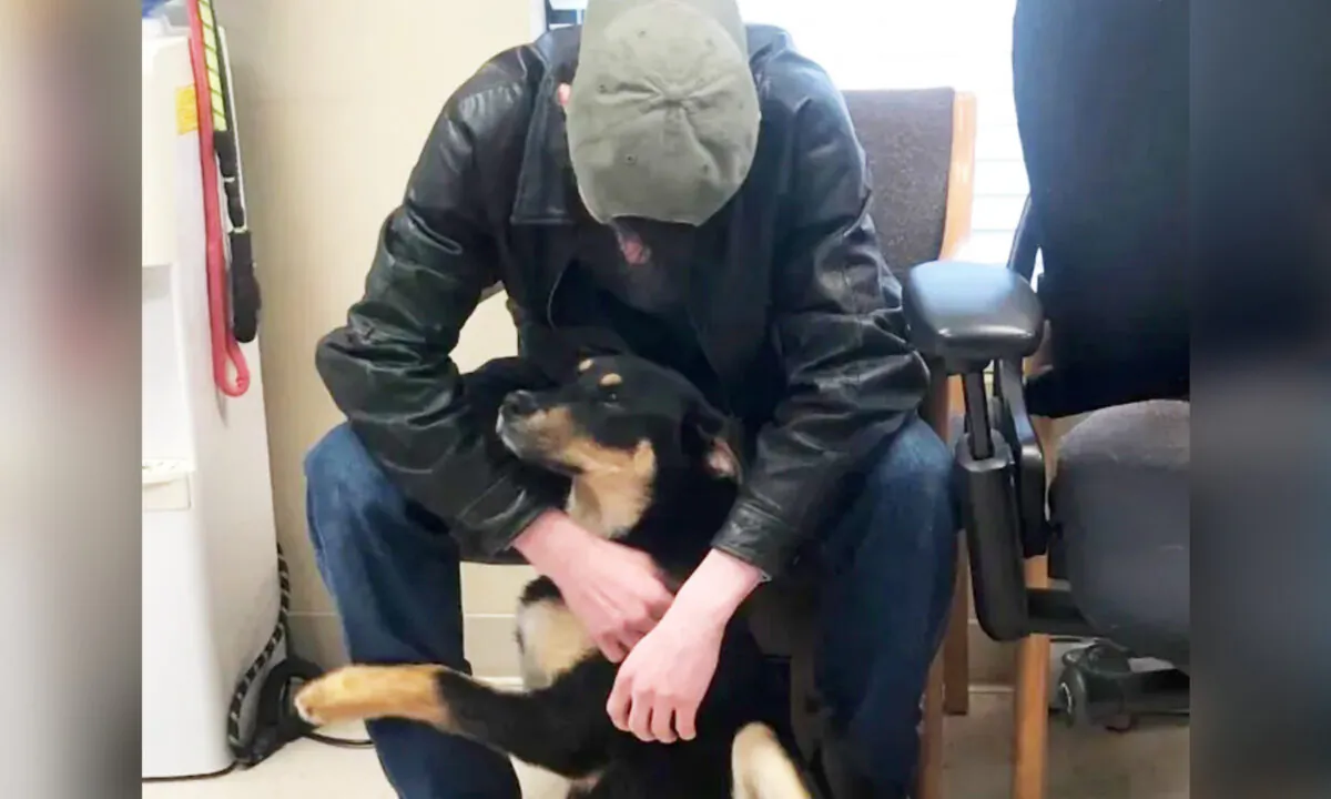 (Courtesy of Kris Robinson/Senatobia Animal Shelter)