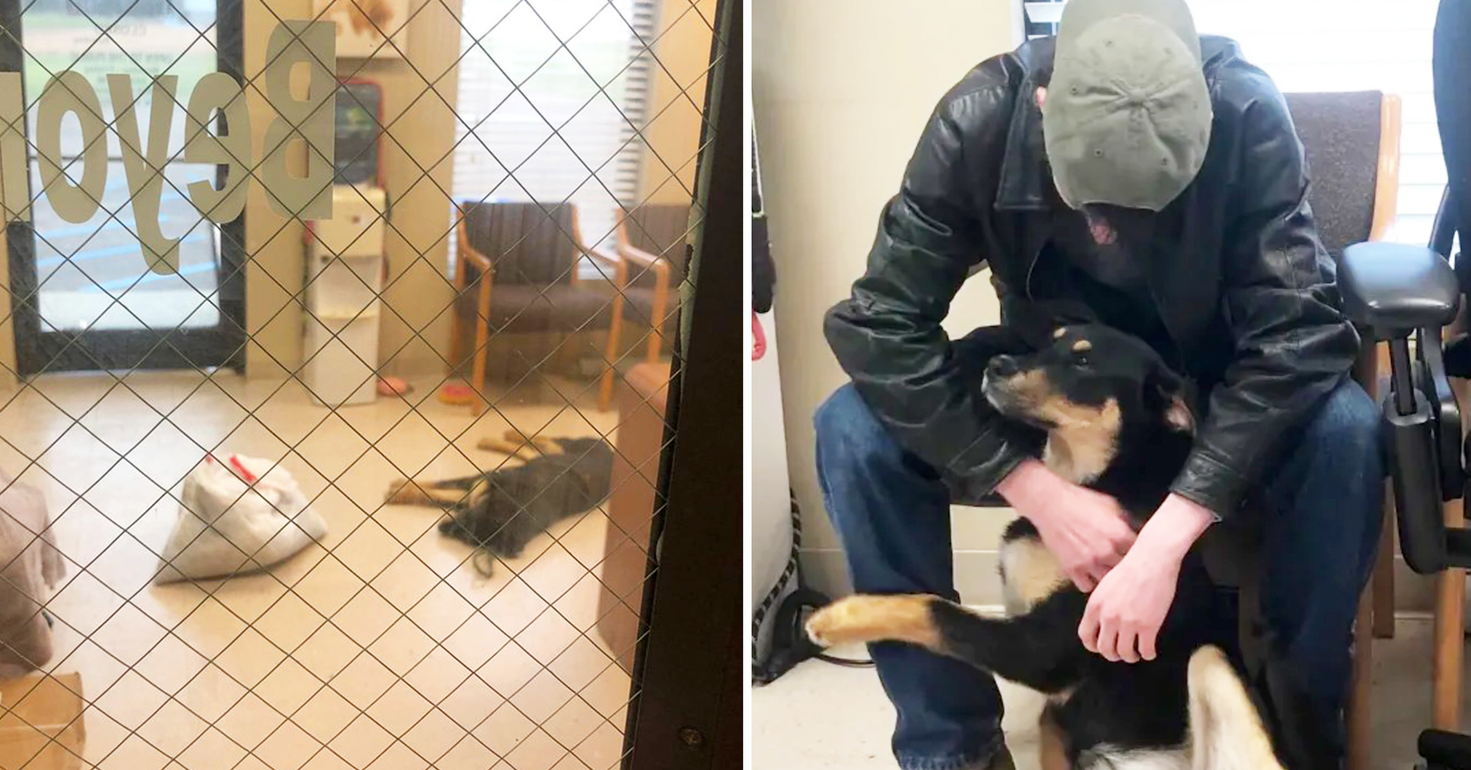 Homeless Teen Living Under Bridge Reunites With Puppy He Surrendered to Animal Shelter - Vimarsana News