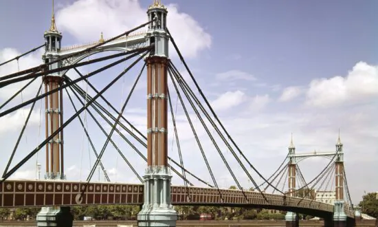Man Dies After Entering River Thames When Police Tried to Detain Him