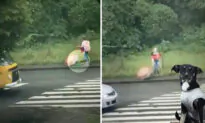 Touching VIDEO: 12-Year-Old Girl Sees Lost, Injured Puppy in the Rain, Takes Off Her Jacket to Rescue Her