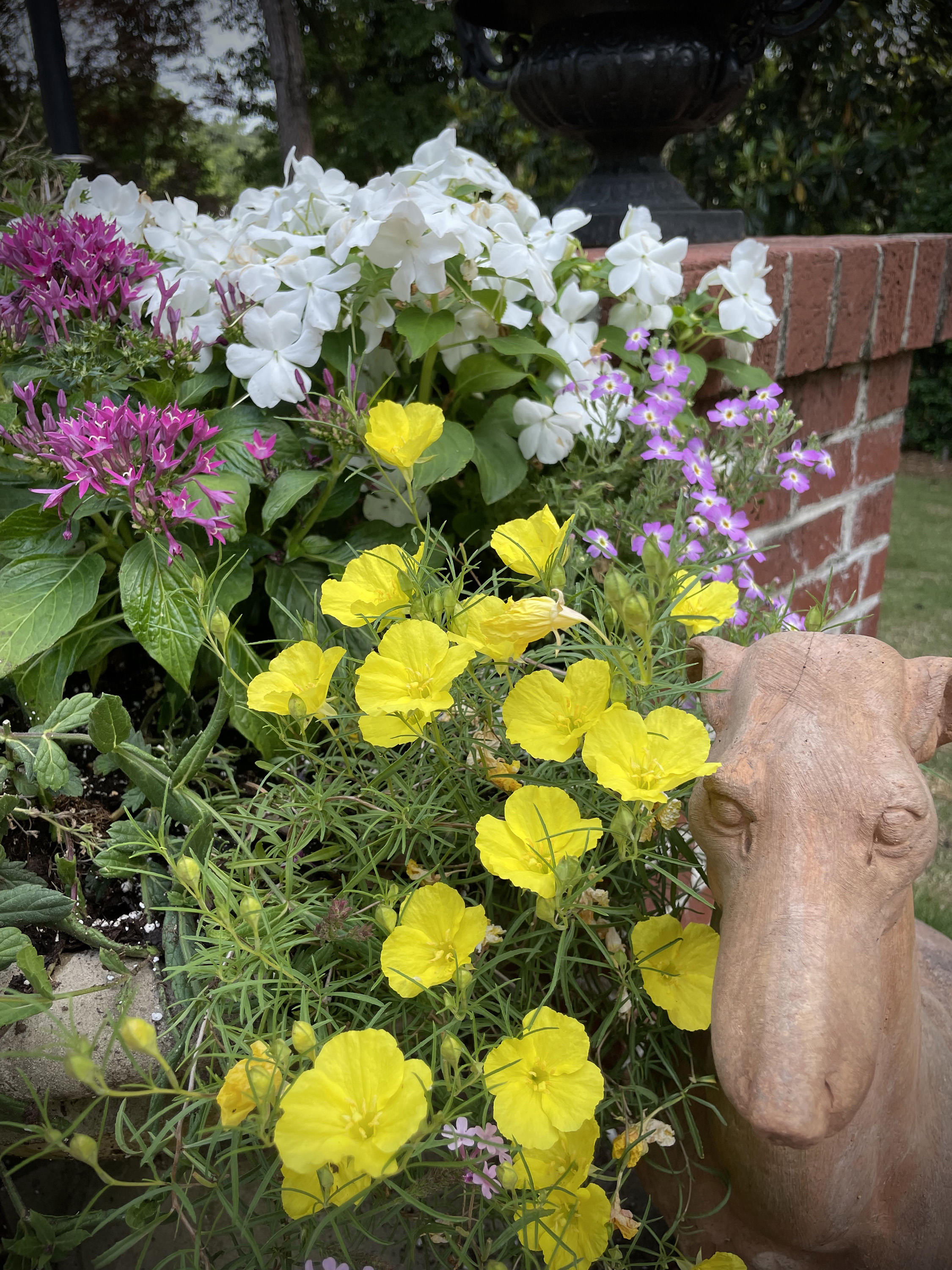 LIFE-HOME-ONGARDENING-2-MCT