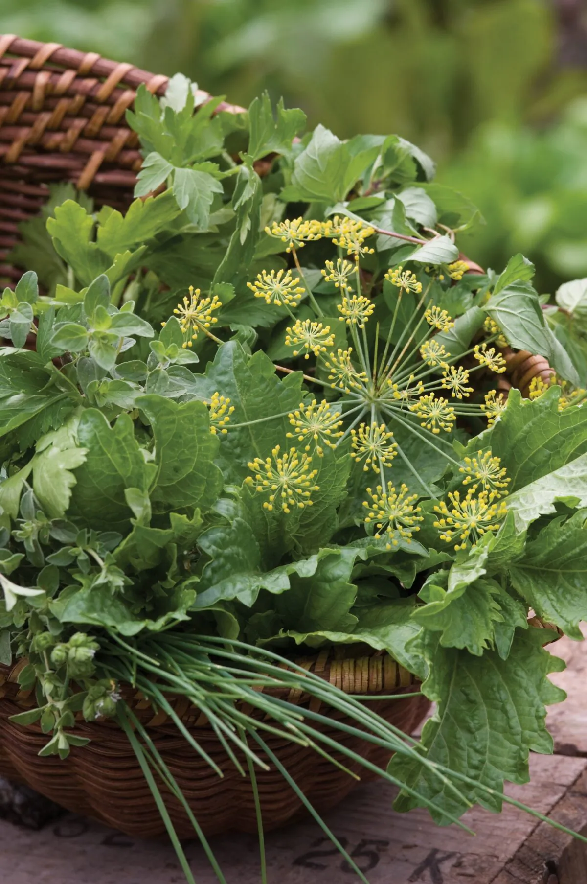 Most herbs grow in well-drained soil in a sunny or partially shaded spot. (Gene Hamilton/TNS)