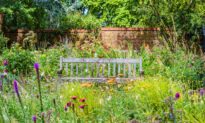 Let Your Garden Go Free: The Case for a Wilder Garden