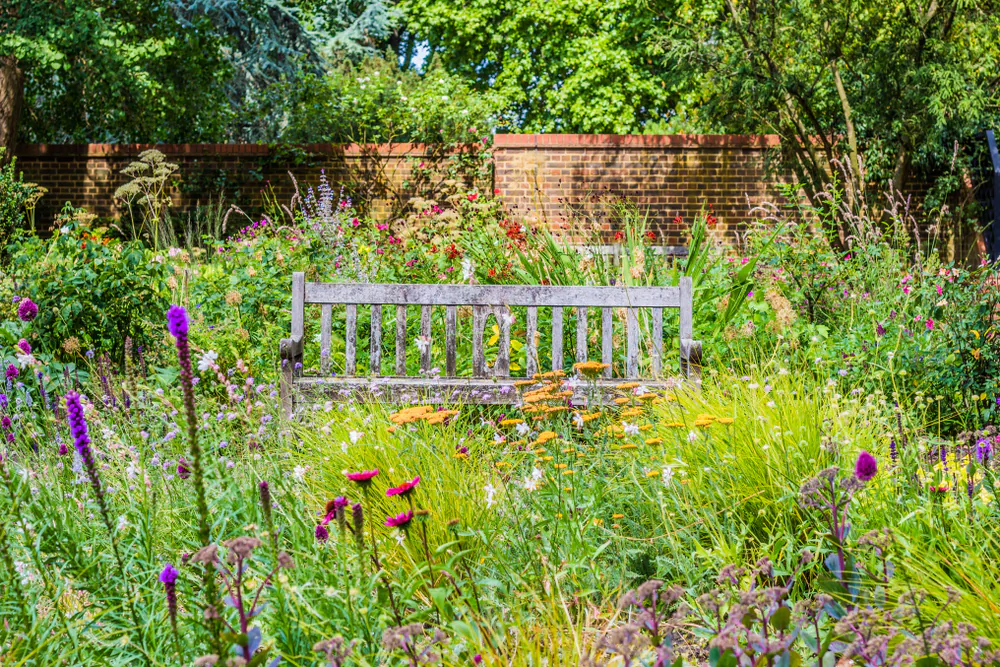 Wildflowers will bring color and joy—and likely some joyful visitors—to your garden. (Lorenza Marzocchi/Shutterstock)
